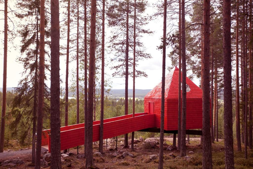 Treehotel Harads Szoba fotó