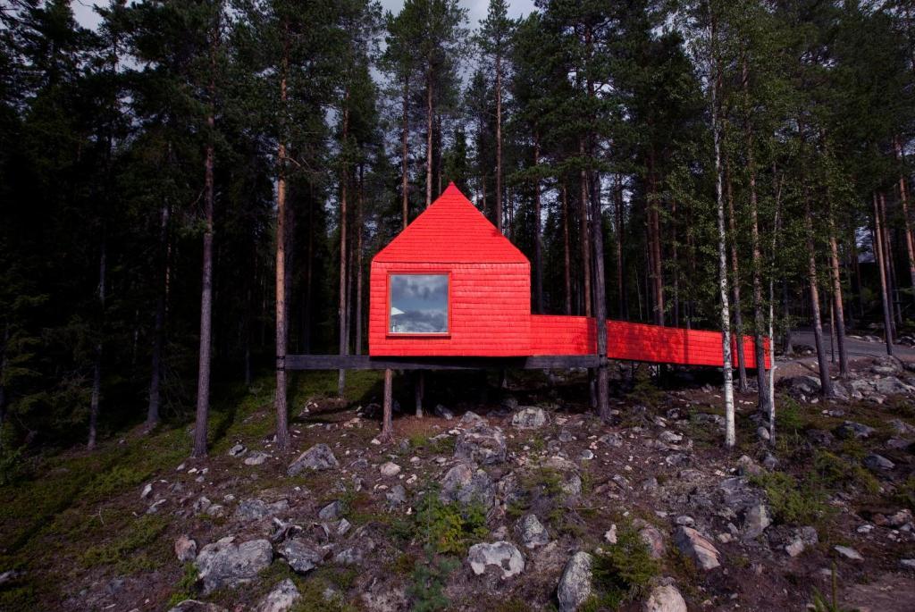 Treehotel Harads Szoba fotó