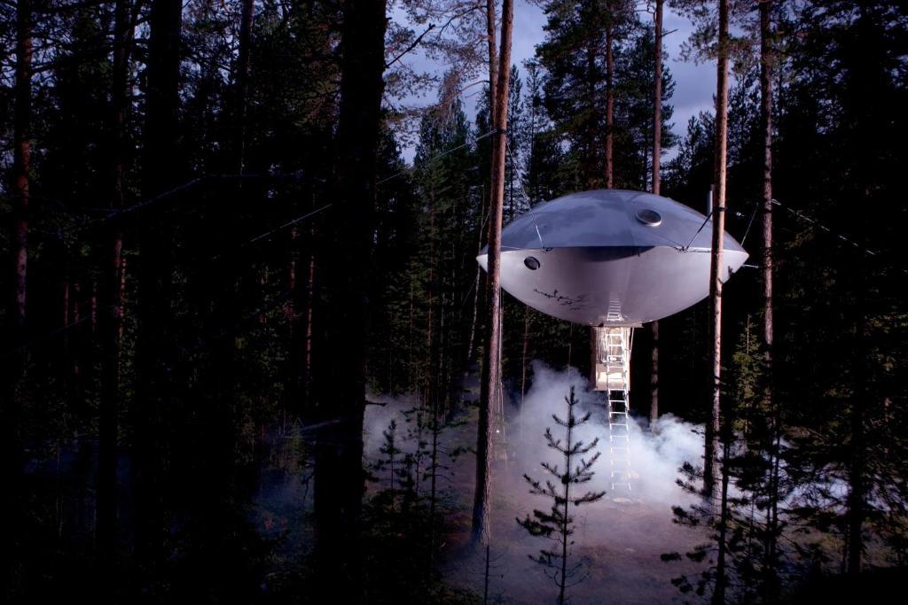 Treehotel Harads Szoba fotó