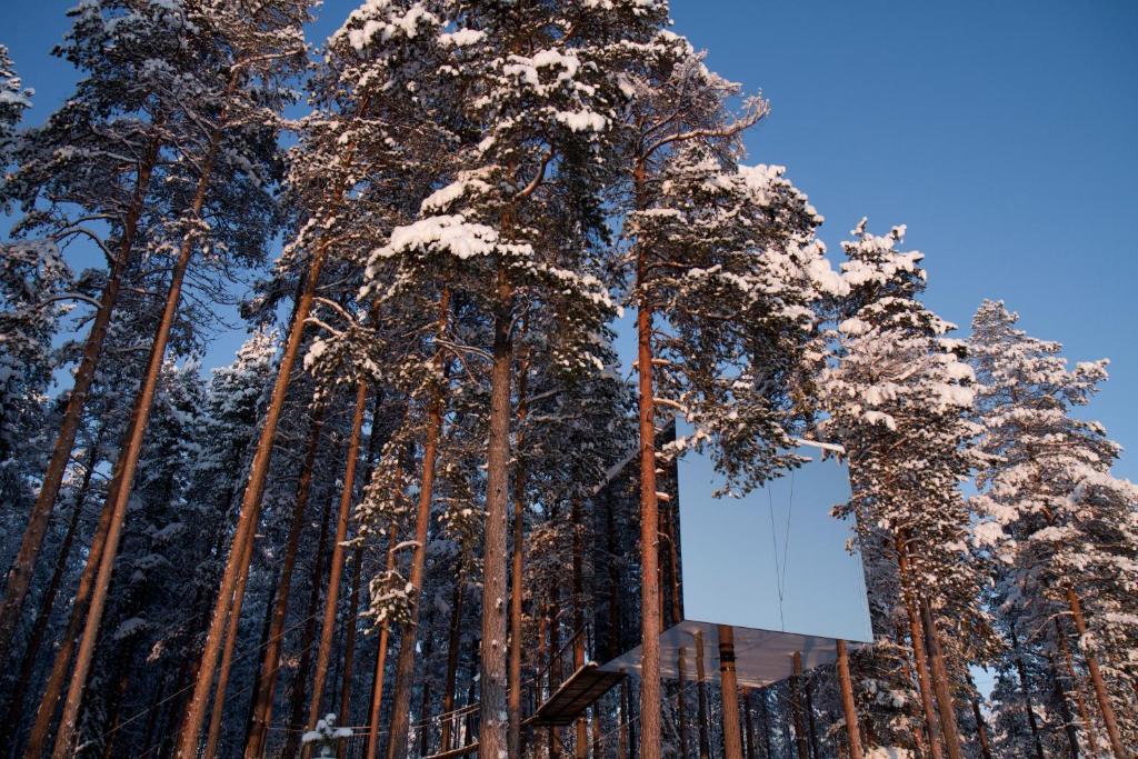 Treehotel Harads Szoba fotó