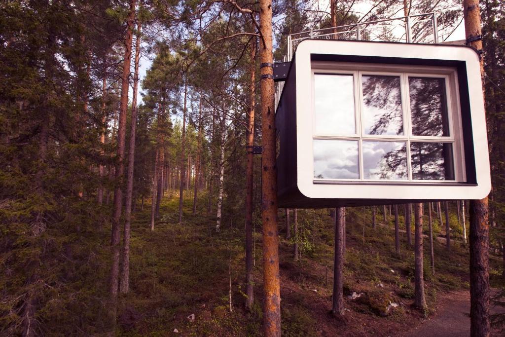Treehotel Harads Szoba fotó